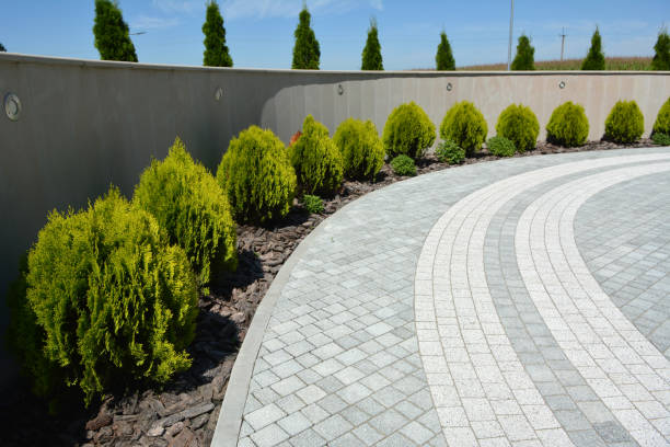 Best Custom Driveway Pavers  in Footville, WI